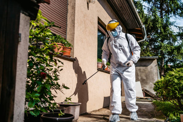 Best Pest Prevention Services  in Nashville, MI