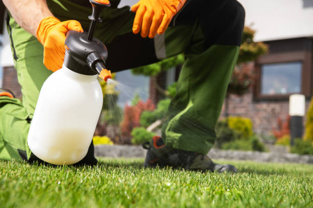 Best Affordable Pest Control Services  in Nashville, MI