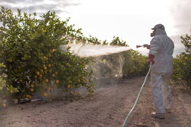 Best Ant Control Services  in Nashville, MI