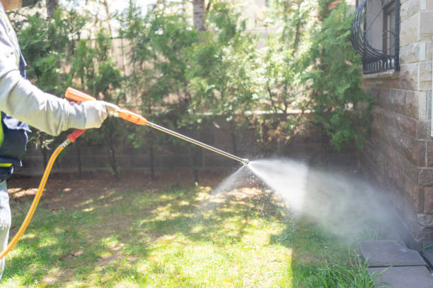 Best Rodent Control Near Me  in Nashville, MI