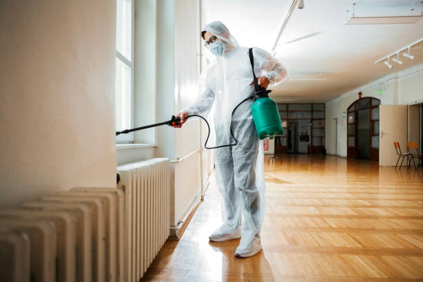 Best Pest Control Near Me  in Nashville, MI