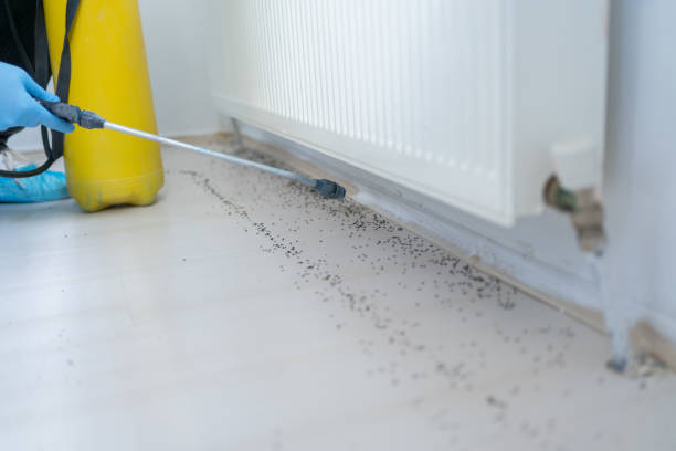 Best Best Pest Control Companies  in Nashville, MI