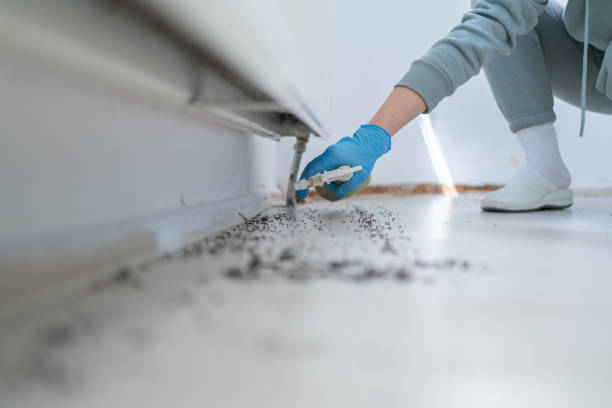 Best Termite Control Services  in Nashville, MI